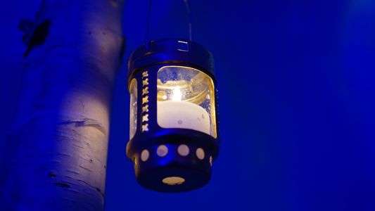 氷の中の暖かい時間