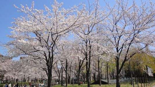 2012 Spring has come