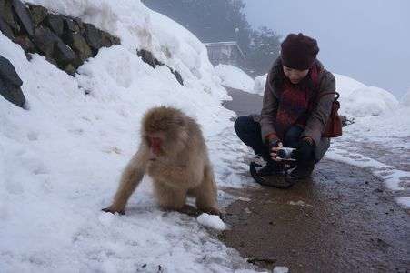 スノーモンキー