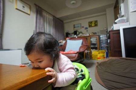 おなか空いたテーブル食べちゃうよ