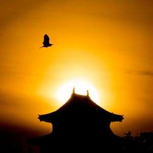 新居からの風景