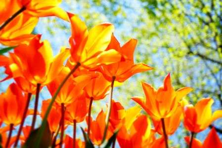 春の陽をあびて