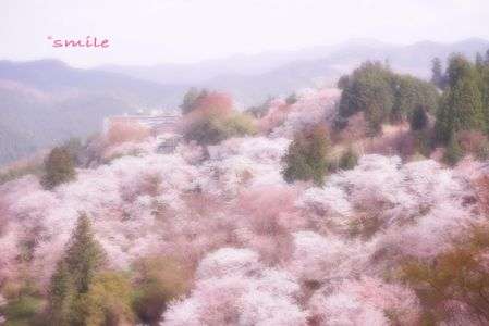 奈良吉野山にて