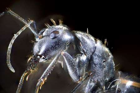 深度合成に挑戦！