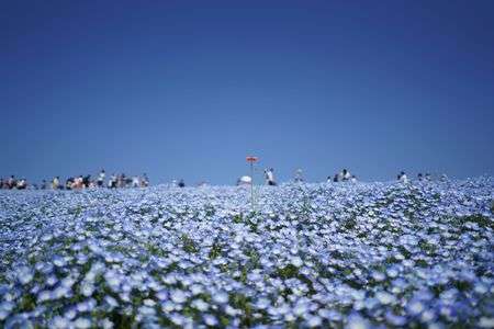 ブルー x ブルー