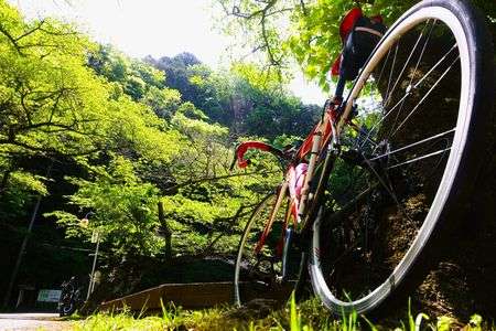 新緑に誘われて