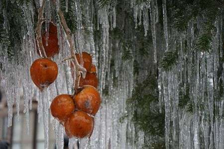 大晦日の白川郷