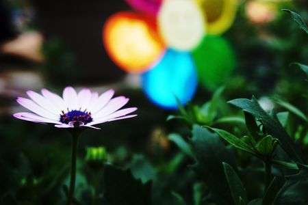 道の駅「あいとうマーガレットステーション」