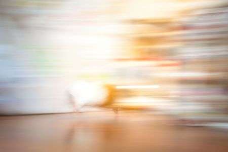 タイムスリップモルモット