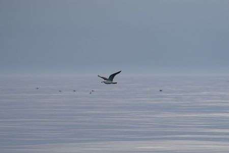 朝の空気の中を