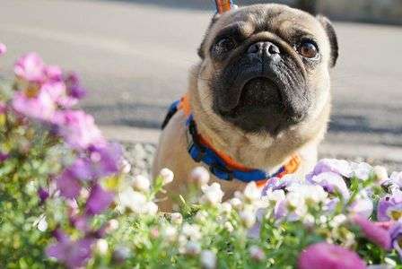 春っていいな✨