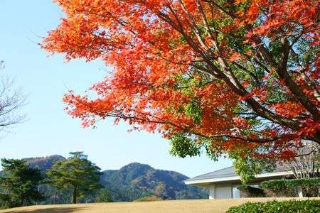 ライオンズゴルフ倶楽部