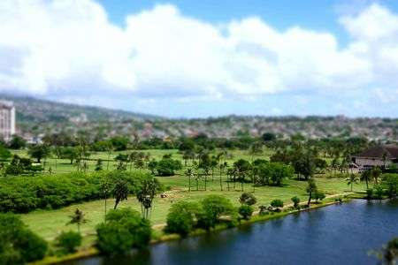 アラワイゴルフコース