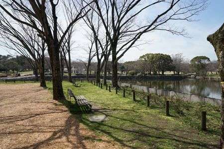 春の万博公園