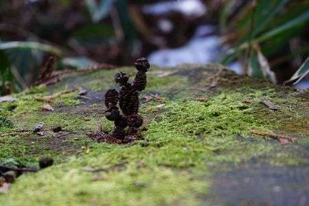 盛の不思議なモニュメント