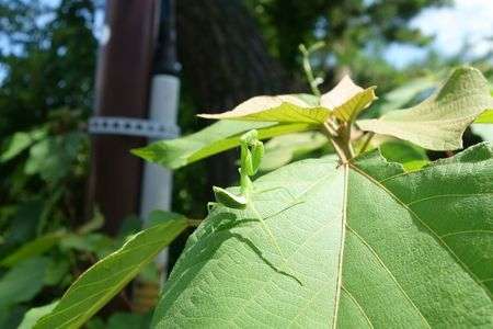 裸の女性がタオル一枚で前を隠しつつ、来ないで！とお願いしているイメージ