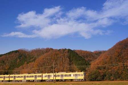 秋空の駿豆線沿線