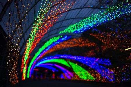 イルミネーション