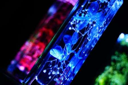 明・暗・光・陰 αカフェにて