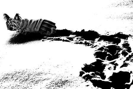 帰らないってば