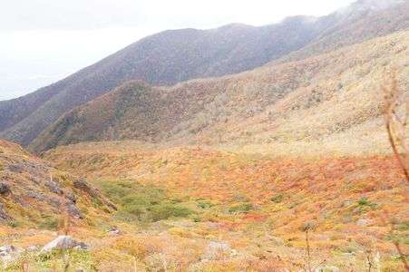 色とりどりの流れ