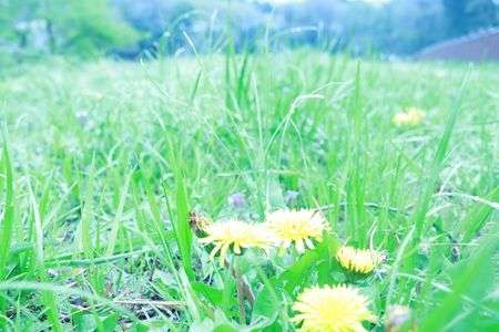 気が付かれなくたっていいの。