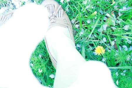 こんな所にも春みっけ。