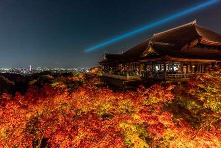 2020年 清水寺 秋の夜間拝観 ライトアップ