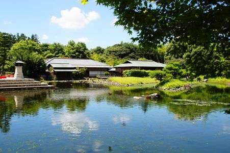 真夏の庭園