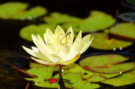 ひと休みさせて～