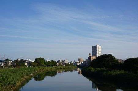 古利根川2015年９月