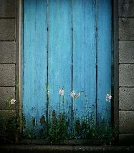 木と花と石と青