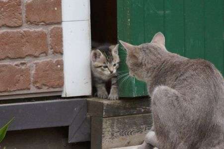 お外に出てもいい？