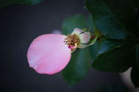 また会う日まで