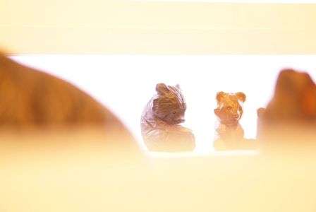 札幌国際芸術祭2017