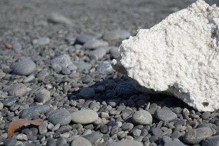 残されて何を思う