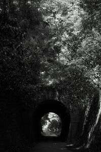 愛知県新城市 宮裏隧道 (豊橋鉄道 田口線)