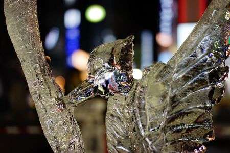 さっぽろ雪まつり すすきの会場