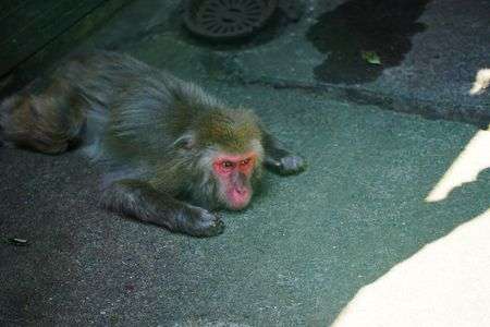 暑い　暑い　暑い～