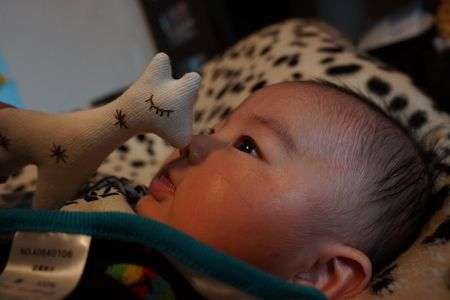 きりんさん、はじめまして