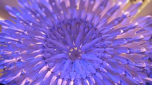 フラワーアート