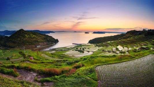 土谷棚田に沈む