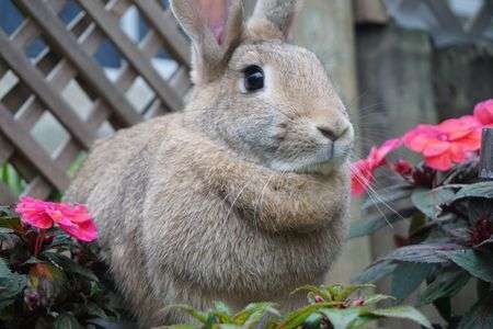 なんだかいい匂い。。。