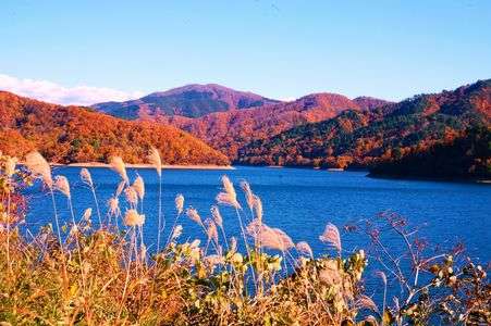 ダム湖に浮かぶ紅葉