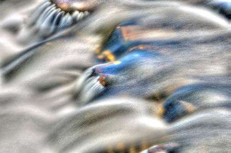 エイリアン(,,･ω『＋』発見!!