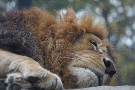 いしかわ動物園