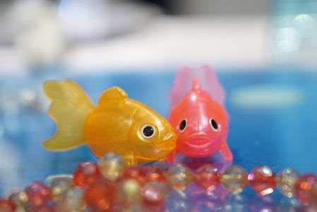 αcafe 体験会参加写真