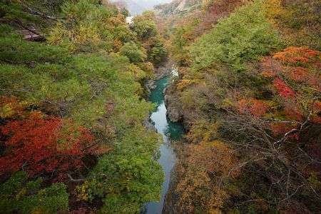 紅葉はじめました