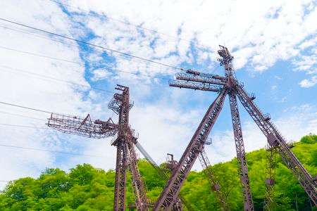 圧倒的な存在感