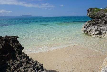 ウミガメの海岸